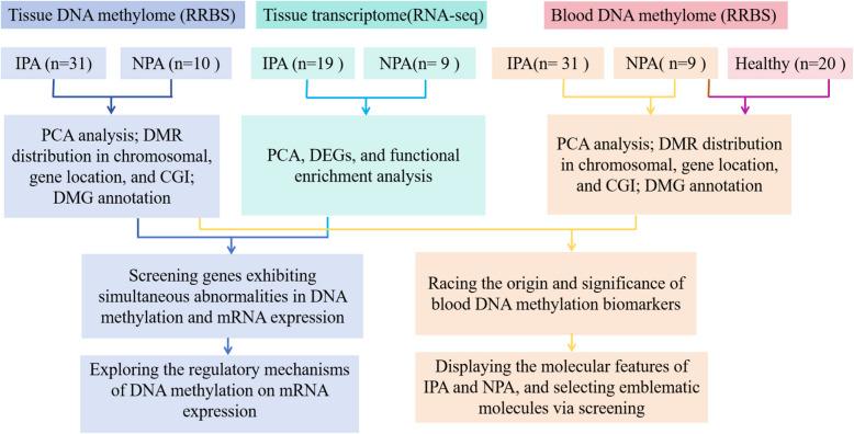 https://cdn.ncbi.nlm.nih.gov/pmc/blobs/3396/12217985/d947c9ed3848/12916_2025_4164_Fig1_HTML.jpg