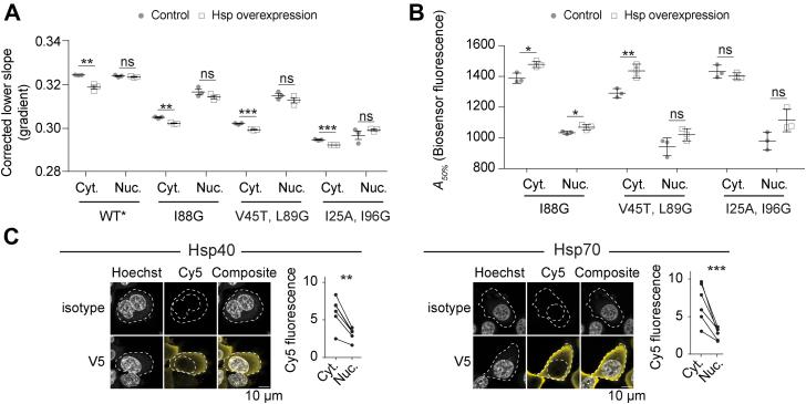 https://cdn.ncbi.nlm.nih.gov/pmc/blobs/3396/9283929/505582eff256/gr2.jpg