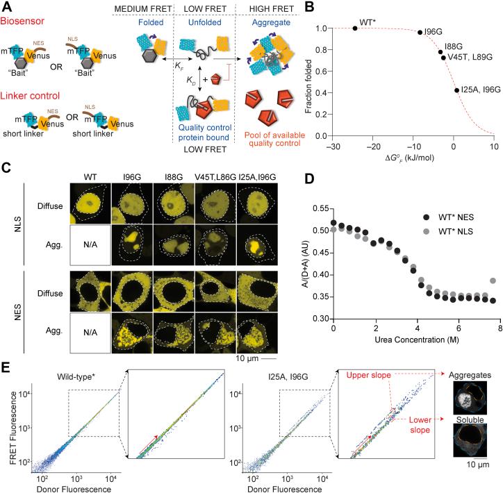 https://cdn.ncbi.nlm.nih.gov/pmc/blobs/3396/9283929/7a555ed8ecf5/gr1.jpg