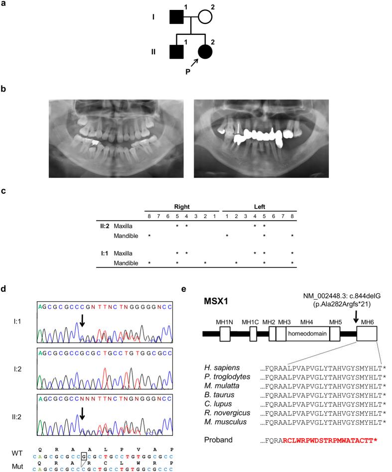 https://cdn.ncbi.nlm.nih.gov/pmc/blobs/3397/5137164/184d93f28fd7/srep38398-f1.jpg