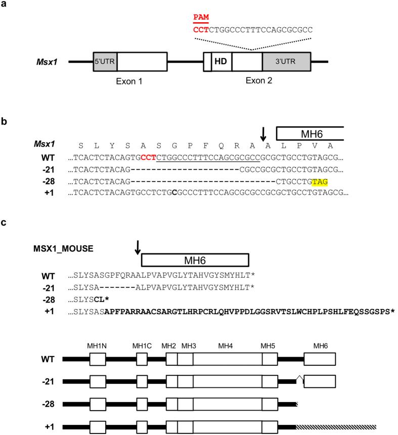 https://cdn.ncbi.nlm.nih.gov/pmc/blobs/3397/5137164/6cfb24722f09/srep38398-f2.jpg