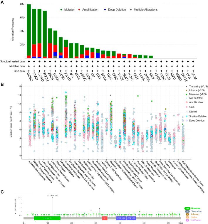 https://cdn.ncbi.nlm.nih.gov/pmc/blobs/3397/8900912/f439495336c7/fmolb-08-793445-g008.jpg