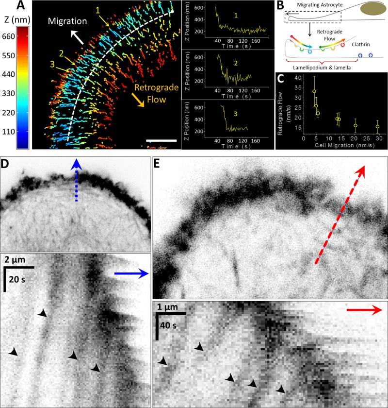 https://cdn.ncbi.nlm.nih.gov/pmc/blobs/339a/4472015/8645c6514fea/2044fig5.jpg