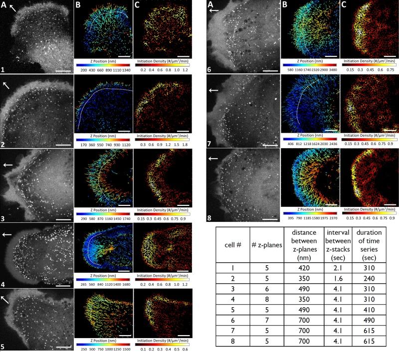 https://cdn.ncbi.nlm.nih.gov/pmc/blobs/339a/4472015/a2c8c7c550cd/2044fig4.jpg
