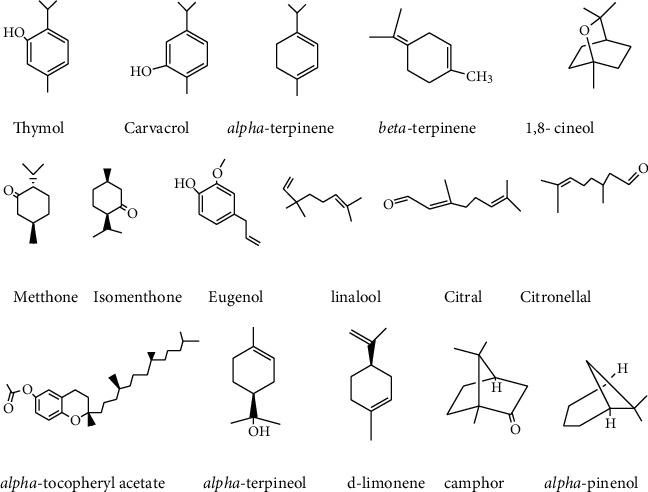 https://cdn.ncbi.nlm.nih.gov/pmc/blobs/339c/8831057/25ee65f01669/BMRI2022-1589877.008.jpg