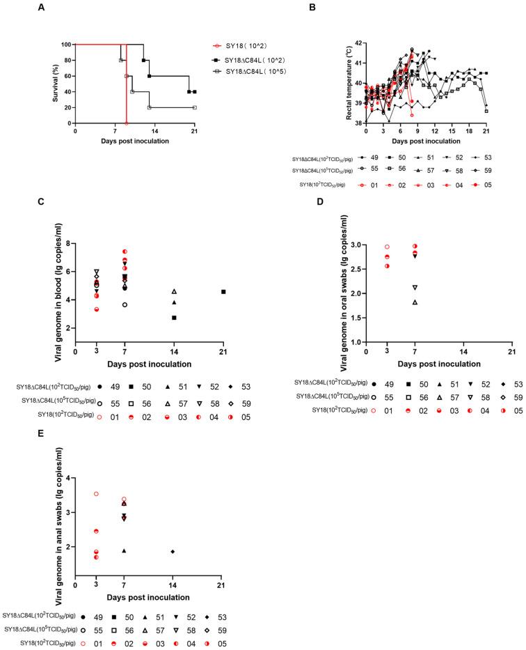 https://cdn.ncbi.nlm.nih.gov/pmc/blobs/339d/10891671/76bc0ccd51d6/pathogens-13-00103-g003.jpg