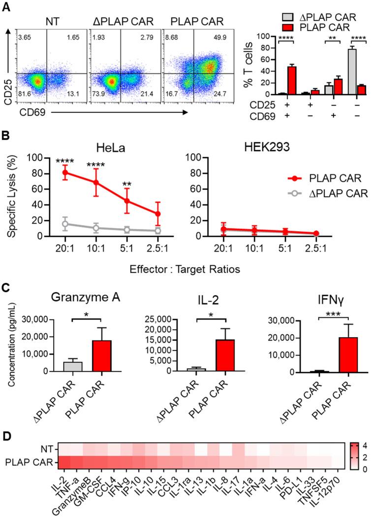 https://cdn.ncbi.nlm.nih.gov/pmc/blobs/339d/9496028/2edd72bda1ad/biomolecules-12-01296-g003.jpg