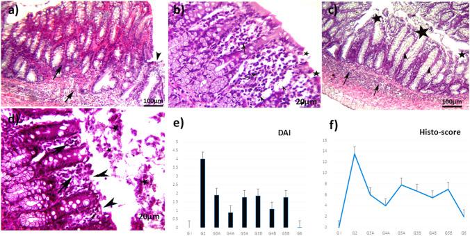 https://cdn.ncbi.nlm.nih.gov/pmc/blobs/339f/11300502/c2a03cd0a65c/10787_2024_1489_Fig5_HTML.jpg