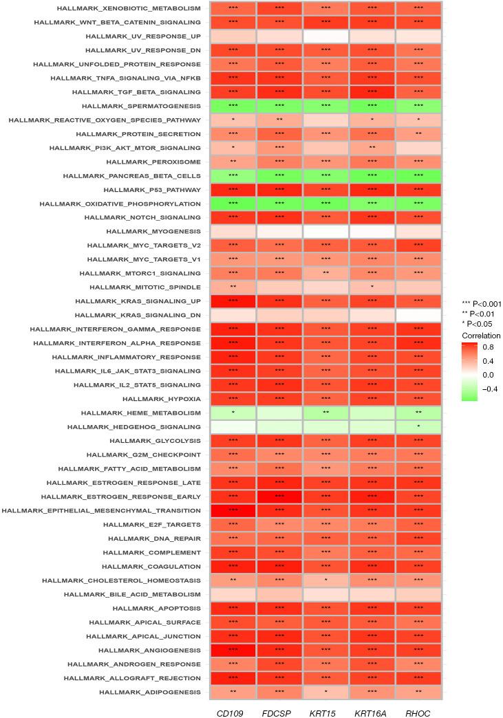 https://cdn.ncbi.nlm.nih.gov/pmc/blobs/33a0/10248946/60e88b5ce33f/tp-12-05-947-f12.jpg