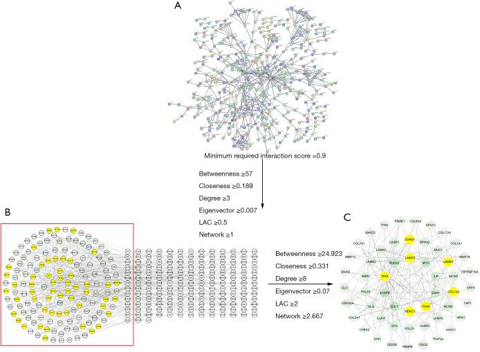 https://cdn.ncbi.nlm.nih.gov/pmc/blobs/33a0/10248946/a0c8e04f45e6/tp-12-05-947-f5.jpg