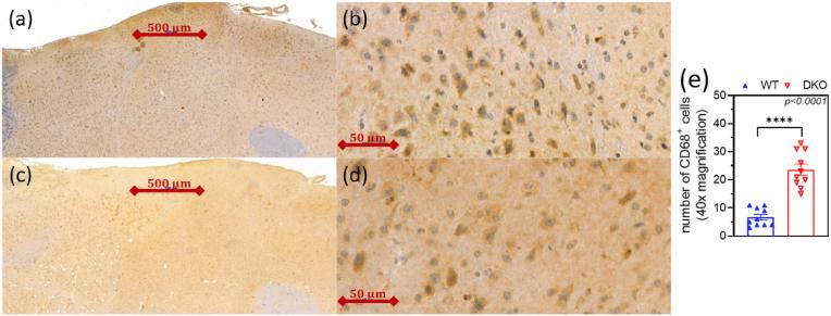 https://cdn.ncbi.nlm.nih.gov/pmc/blobs/33a0/12271819/eda152e36d4c/gr9.jpg
