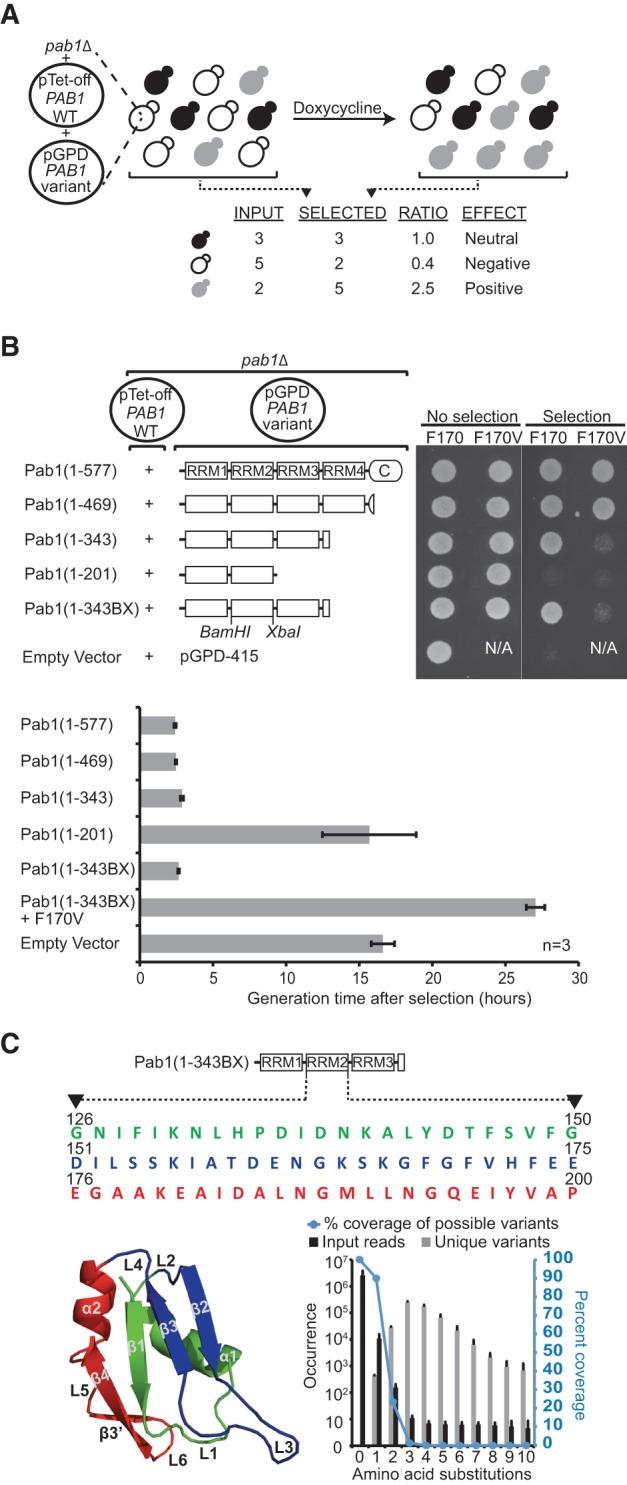 https://cdn.ncbi.nlm.nih.gov/pmc/blobs/33a3/3851721/7e3d3b1ba515/1537fig1.jpg