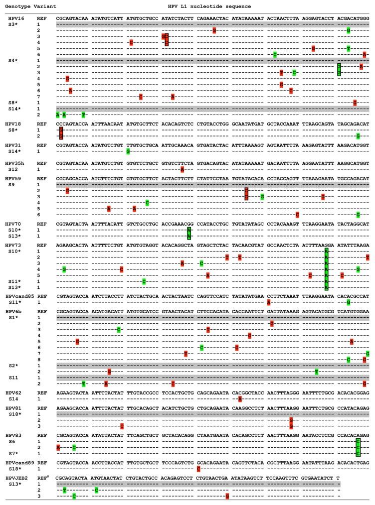 https://cdn.ncbi.nlm.nih.gov/pmc/blobs/33a4/4776183/1ab1da5b6c9b/viruses-08-00028-g004.jpg