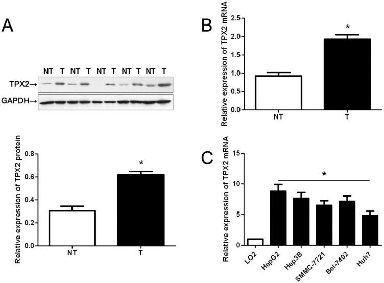 https://cdn.ncbi.nlm.nih.gov/pmc/blobs/33a6/4227208/33c658f80cf0/ijms-15-18148-g001.jpg