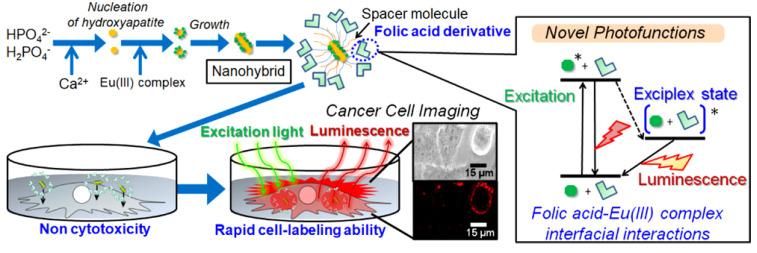 https://cdn.ncbi.nlm.nih.gov/pmc/blobs/33a6/9326646/c5132b5142de/jfb-13-00100-g008.jpg