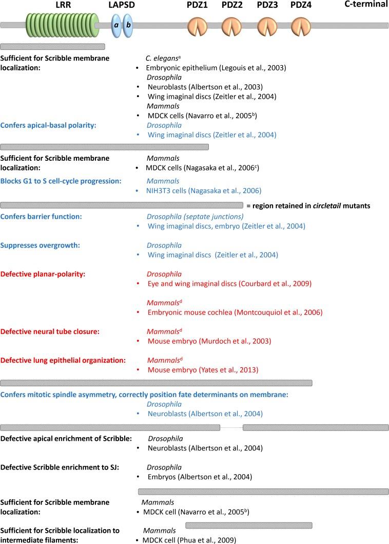 https://cdn.ncbi.nlm.nih.gov/pmc/blobs/33a8/6400555/41d44cccbc77/JCB_201810103_Fig2.jpg