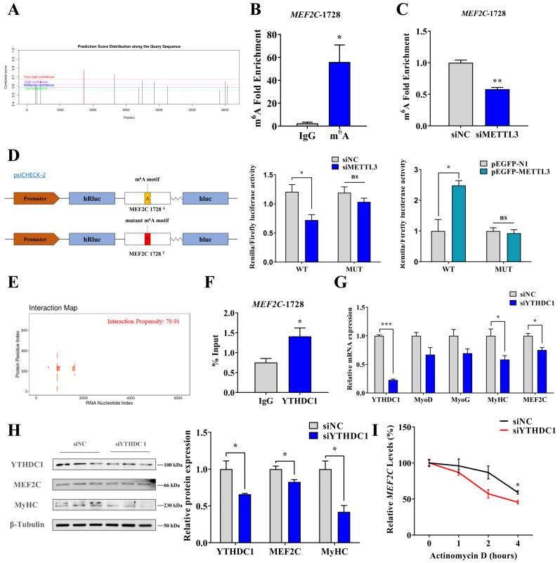 https://cdn.ncbi.nlm.nih.gov/pmc/blobs/33a9/10531580/aa14ba4c65fa/ijms-24-14115-g005.jpg