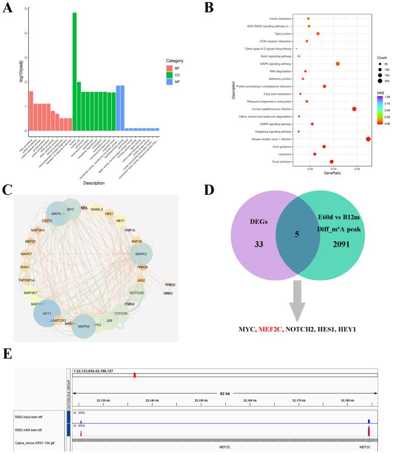 https://cdn.ncbi.nlm.nih.gov/pmc/blobs/33a9/10531580/f291c5cc57b6/ijms-24-14115-g003.jpg