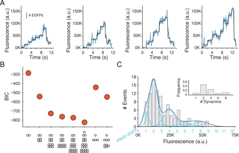 https://cdn.ncbi.nlm.nih.gov/pmc/blobs/33ac/4230619/b82367d186cb/3595fig9.jpg