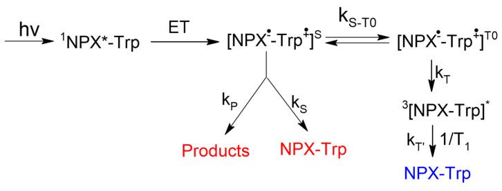 https://cdn.ncbi.nlm.nih.gov/pmc/blobs/33ad/8744724/252529f39d71/ijms-23-00038-sch002.jpg