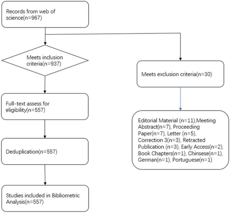 https://cdn.ncbi.nlm.nih.gov/pmc/blobs/33ae/11821919/97003920c6b0/fnins-19-1489049-g001.jpg