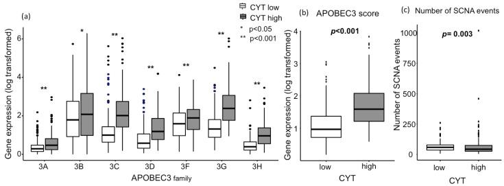 https://cdn.ncbi.nlm.nih.gov/pmc/blobs/33ae/7281225/76db0f02f27a/cancers-12-01221-g001.jpg