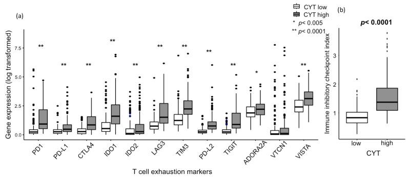 https://cdn.ncbi.nlm.nih.gov/pmc/blobs/33ae/7281225/f52701cd9767/cancers-12-01221-g004.jpg