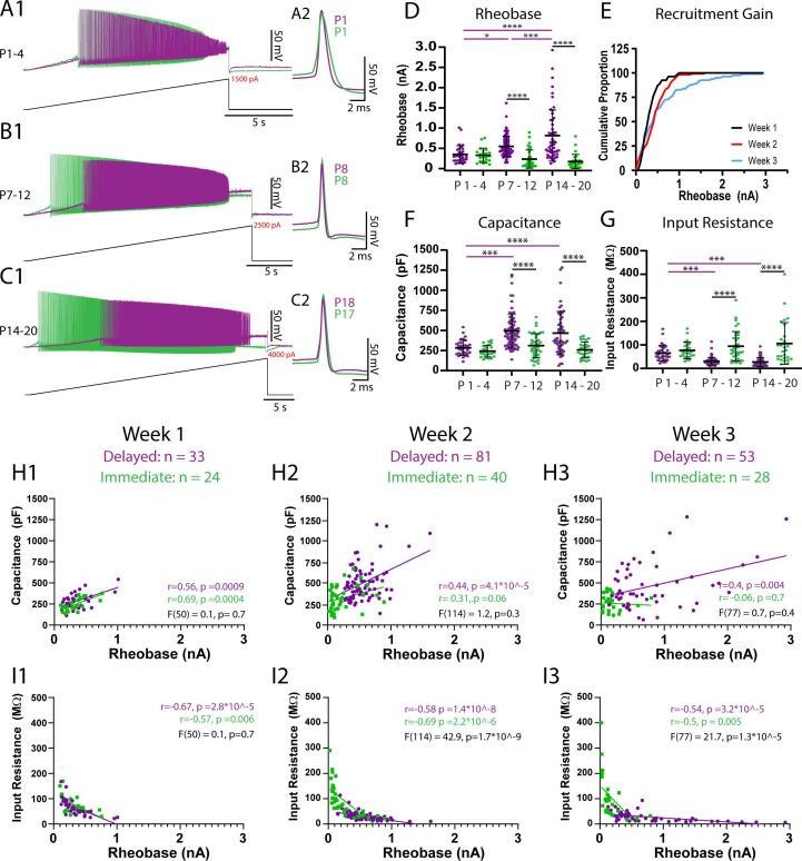 https://cdn.ncbi.nlm.nih.gov/pmc/blobs/33b0/8641952/91be2c9e14cb/elife-71385-fig3.jpg