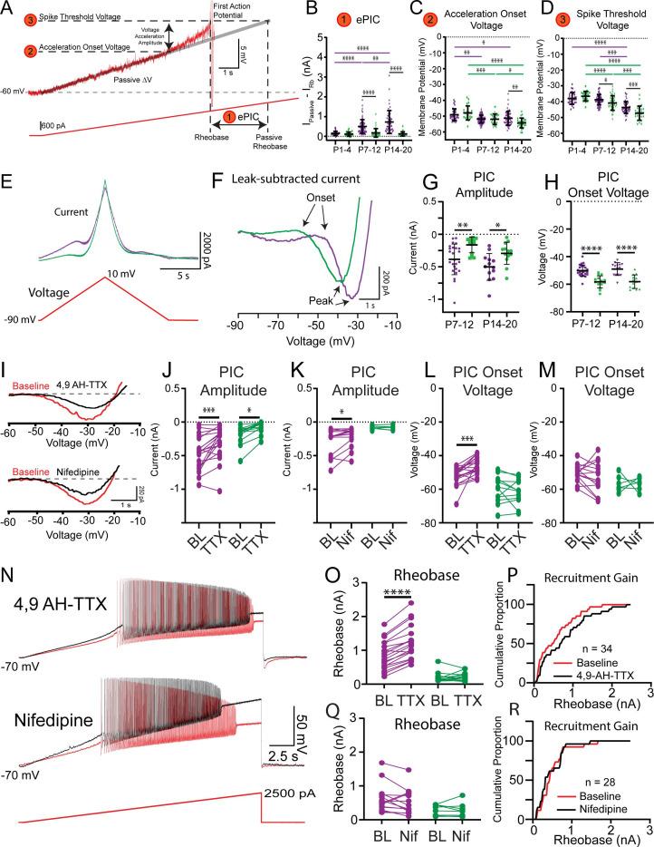 https://cdn.ncbi.nlm.nih.gov/pmc/blobs/33b0/8641952/a764237099c1/elife-71385-fig4.jpg