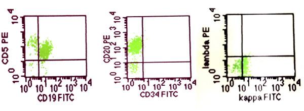 https://cdn.ncbi.nlm.nih.gov/pmc/blobs/33b1/3206418/3b9334f838ae/1746-1596-6-99-1.jpg