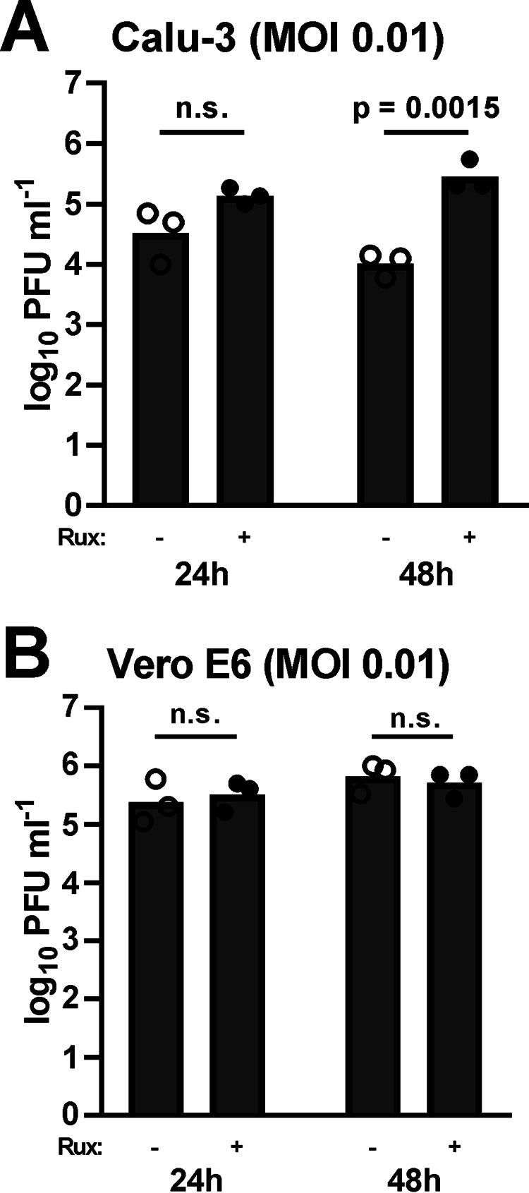 https://cdn.ncbi.nlm.nih.gov/pmc/blobs/33b2/7549028/7e0ecc021dfb/SB-JBCJ200289F004.jpg