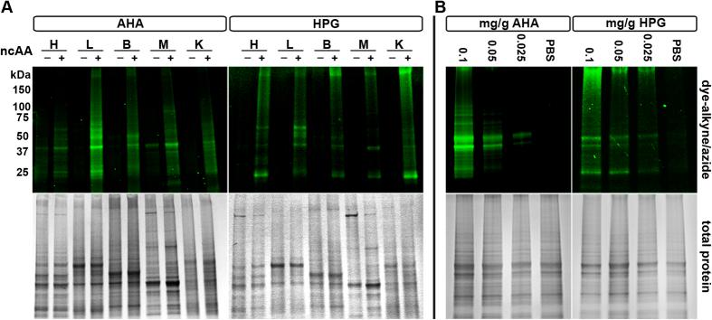 https://cdn.ncbi.nlm.nih.gov/pmc/blobs/33b4/5004113/374b5abec6f6/srep32377-f2.jpg