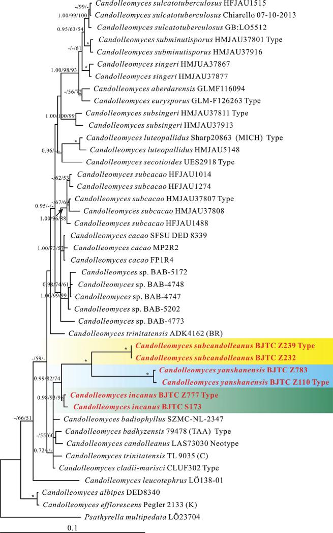 https://cdn.ncbi.nlm.nih.gov/pmc/blobs/33b4/9021153/e9bd9e0d6647/mycokeys-88-109-g001.jpg