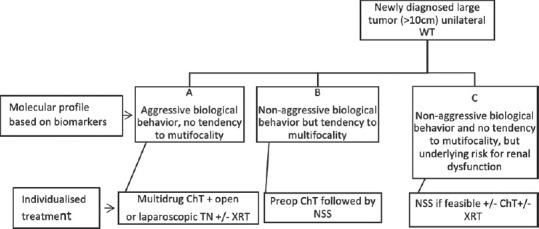https://cdn.ncbi.nlm.nih.gov/pmc/blobs/33b6/8853590/7c9a32e1f6fc/JIAPS-27-13-g002.jpg