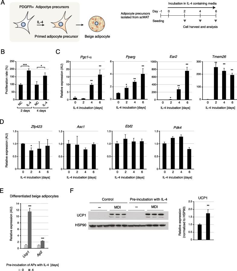 https://cdn.ncbi.nlm.nih.gov/pmc/blobs/33b7/10273709/340db0d51b2b/13062_2023_388_Fig1_HTML.jpg