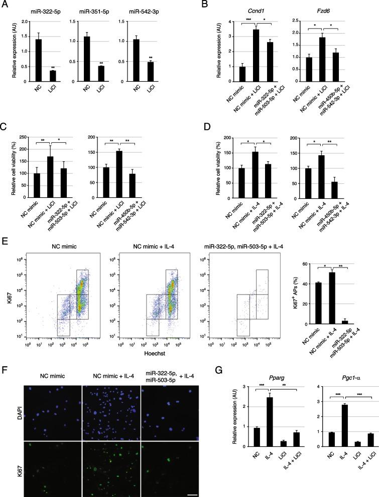 https://cdn.ncbi.nlm.nih.gov/pmc/blobs/33b7/10273709/55e19e437f16/13062_2023_388_Fig6_HTML.jpg