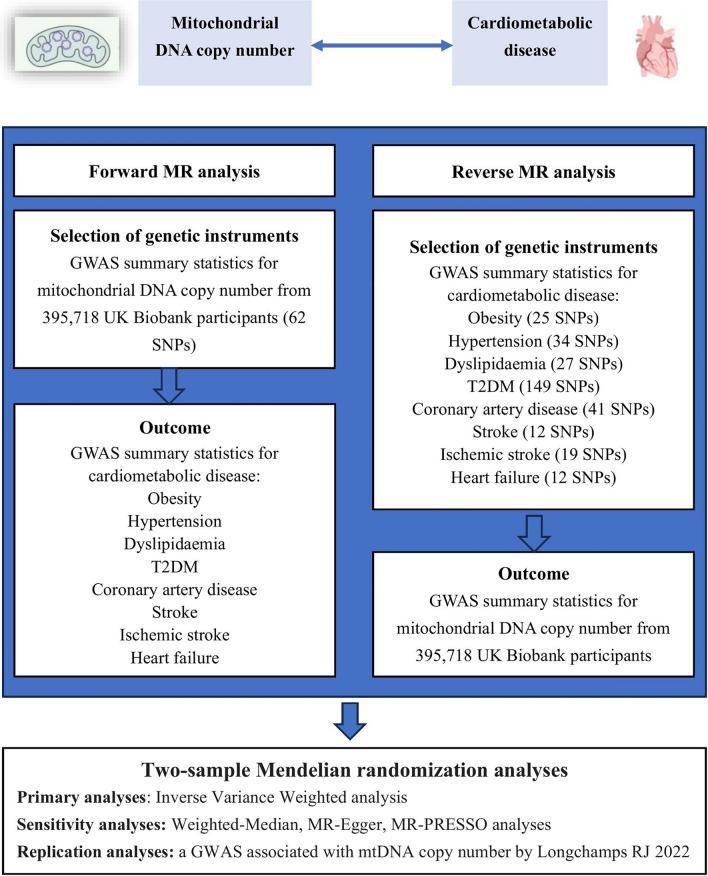 https://cdn.ncbi.nlm.nih.gov/pmc/blobs/33b8/10823732/365913a6fa1d/12933_2023_2074_Fig1_HTML.jpg