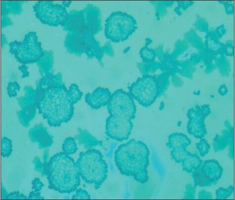 https://cdn.ncbi.nlm.nih.gov/pmc/blobs/33b8/4130012/2b40e378c919/JFDS-6-107-g005.jpg