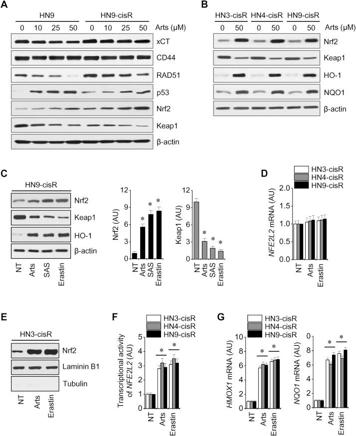 https://cdn.ncbi.nlm.nih.gov/pmc/blobs/33b9/5198738/31a7d8d6c3db/gr3.jpg