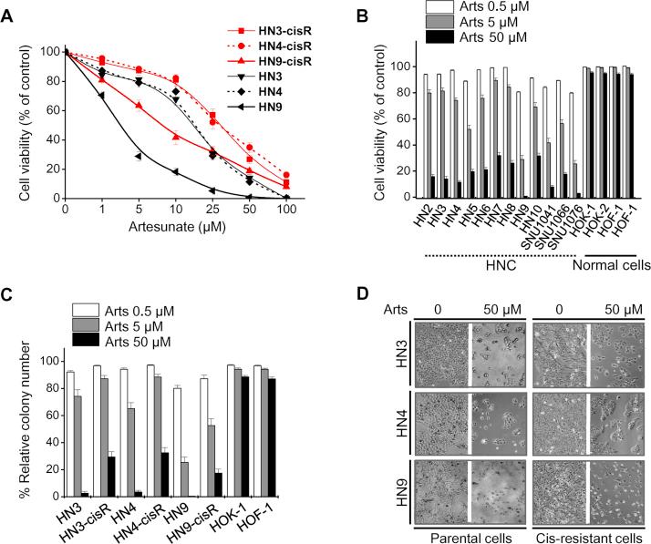 https://cdn.ncbi.nlm.nih.gov/pmc/blobs/33b9/5198738/4df525a16b18/gr1.jpg