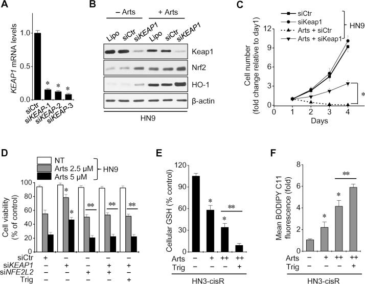 https://cdn.ncbi.nlm.nih.gov/pmc/blobs/33b9/5198738/5149c7ece0dd/gr4.jpg