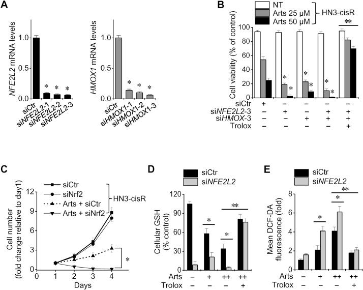 https://cdn.ncbi.nlm.nih.gov/pmc/blobs/33b9/5198738/53d2192735ad/gr5.jpg
