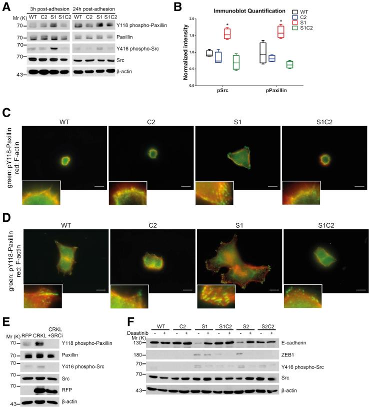 https://cdn.ncbi.nlm.nih.gov/pmc/blobs/33b9/6251370/cc62728b1983/gr6.jpg