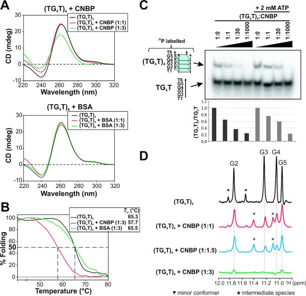 https://cdn.ncbi.nlm.nih.gov/pmc/blobs/33bb/6735679/7c55c9b93e0f/gkz527fig1.jpg