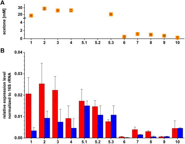 https://cdn.ncbi.nlm.nih.gov/pmc/blobs/33bd/9402939/f5b02d8018e7/fgene-13-966643-g005.jpg