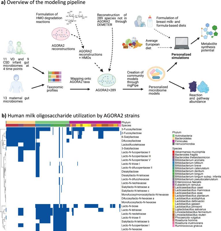 https://cdn.ncbi.nlm.nih.gov/pmc/blobs/33bf/11686179/0a73cab41649/43856_2024_715_Fig1_HTML.jpg
