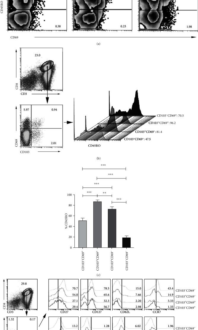 https://cdn.ncbi.nlm.nih.gov/pmc/blobs/33bf/8084674/b1481c159083/JIR2021-6643808.002.jpg
