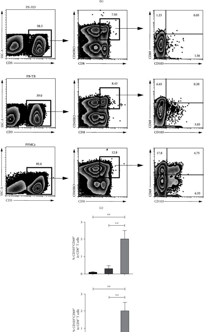 https://cdn.ncbi.nlm.nih.gov/pmc/blobs/33bf/8084674/d7dded49759a/JIR2021-6643808.003.jpg
