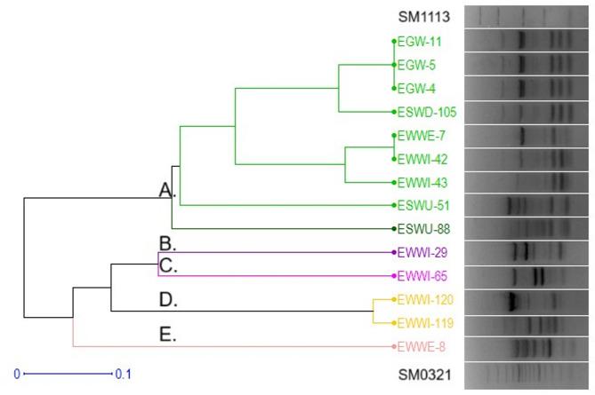 https://cdn.ncbi.nlm.nih.gov/pmc/blobs/33c1/12271363/f4a9e71c3737/41598_2025_8090_Fig2_HTML.jpg