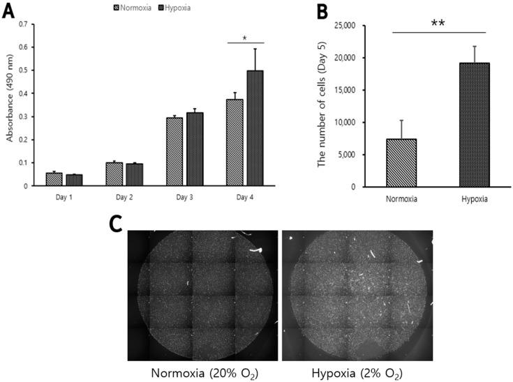 https://cdn.ncbi.nlm.nih.gov/pmc/blobs/33c3/9221279/dc3490ff5e34/biomolecules-12-00838-g001.jpg